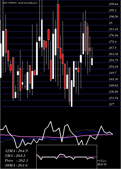  weekly chart SalonaCotsp