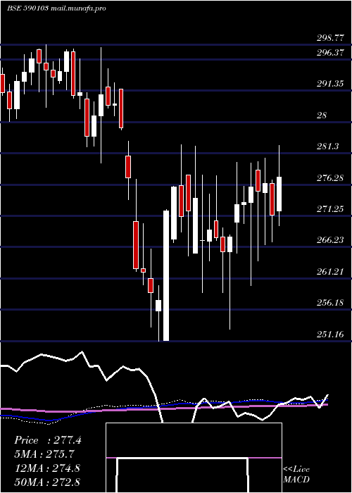  weekly chart Niftybees