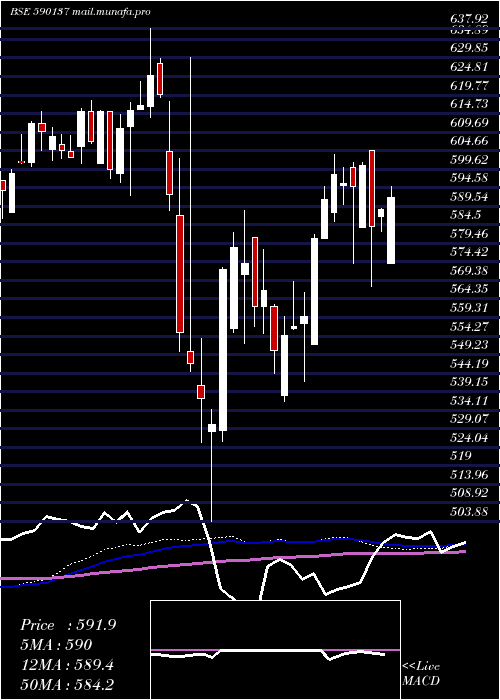  weekly chart Setfnifbk