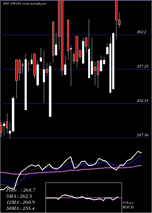  Daily chart Setfnif50
