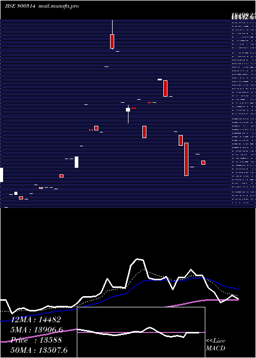  Daily chart Sgbfeb28