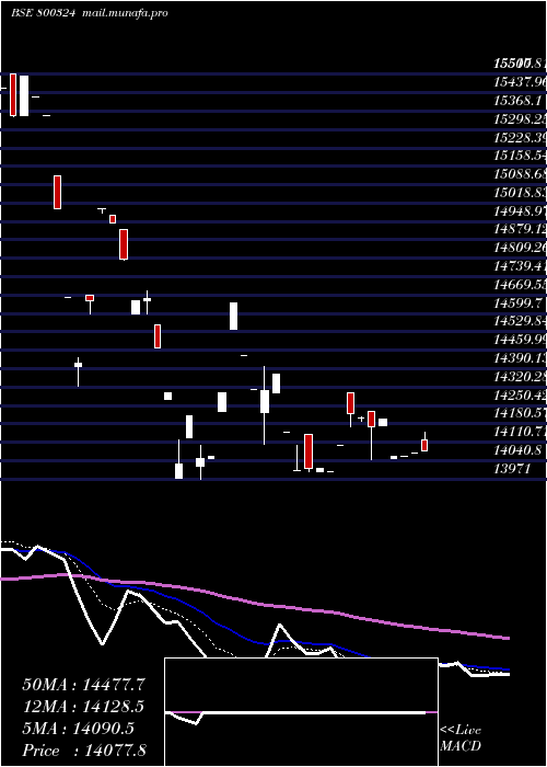  Daily chart Sgbjuly28