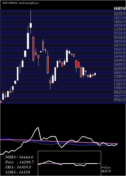  weekly chart Sgbjuly28