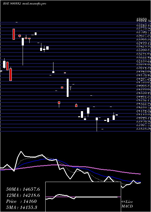  Daily chart Sgbjan29a