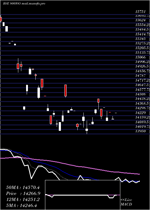  Daily chart Sgbaug29