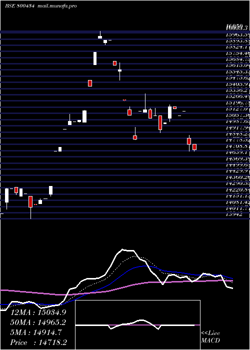  Daily chart Sgbnov29