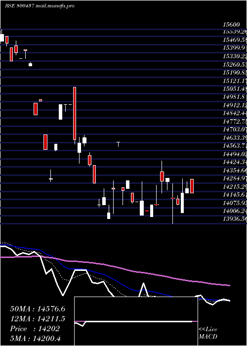  Daily chart Sgbdec29