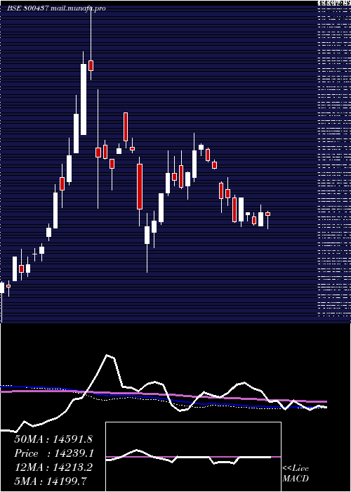  weekly chart Sgbdec29