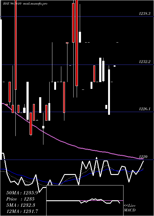  Daily chart 891ntpc33