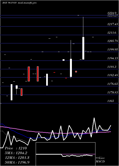  Daily chart 762ntpc35f