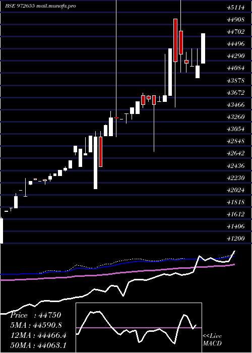 weekly chart Ifci010811b