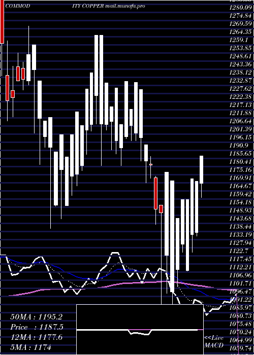 Daily chart CopperTamba