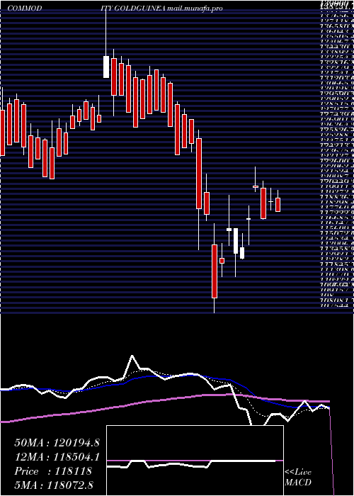  Daily chart GoldGuinea