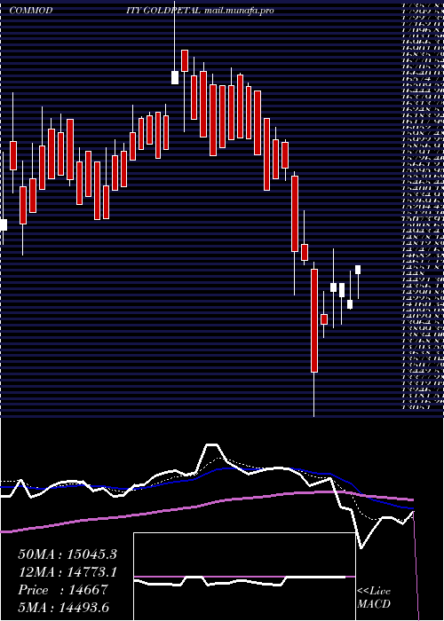  Daily chart GoldPetal
