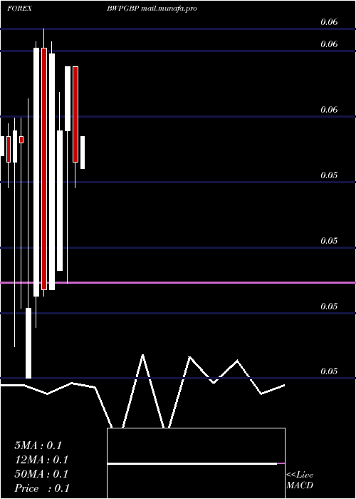  monthly chart PulaPound