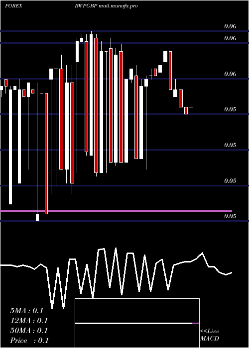  weekly chart PulaPound