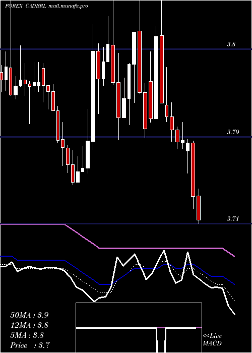  Daily chart CanadianDollar