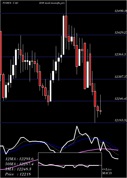  Daily chart CanadianDollar