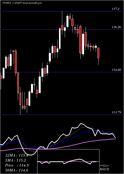  Daily chart CanadianDollar