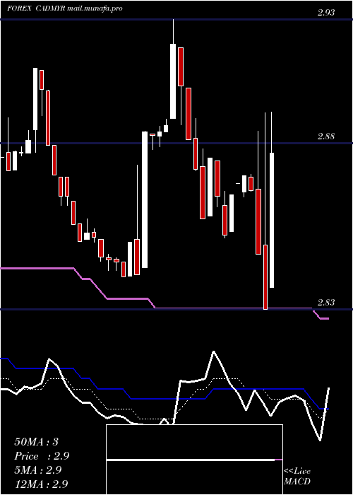  Daily chart CanadianDollar