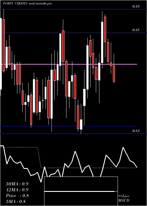  Daily chart CzechKoruna