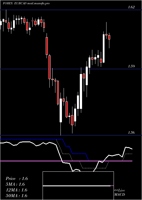  Daily chart EuroDollar