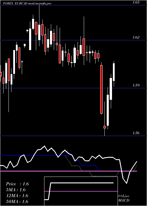  weekly chart EuroDollar