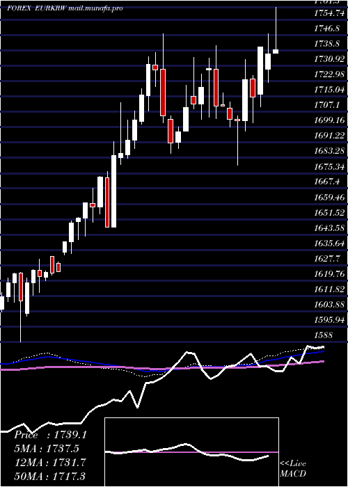  weekly chart EuroDollar