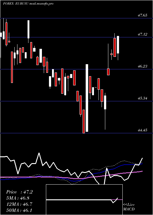  weekly chart EuroDollar