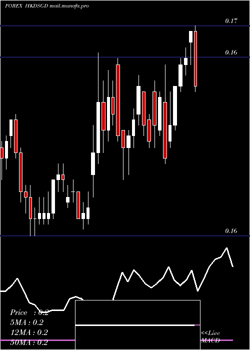  Daily chart HongKong