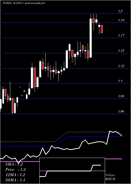  weekly chart NewIsraeli