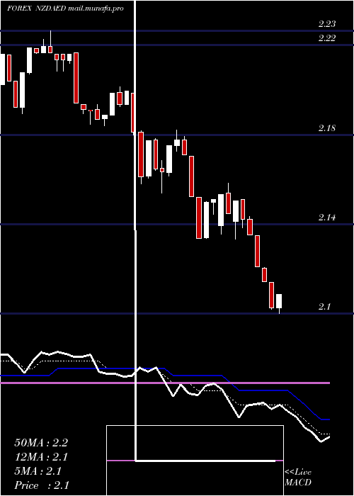  Daily chart NewZealand
