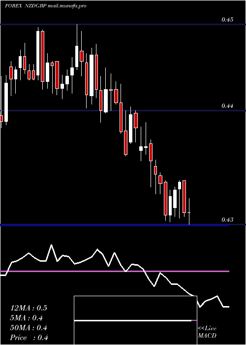  Daily chart NewZealand