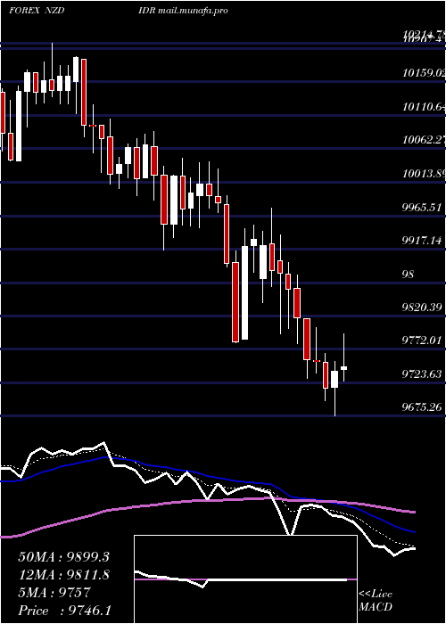  Daily chart NewZealand