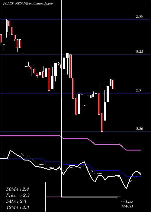  Daily chart NewZealand
