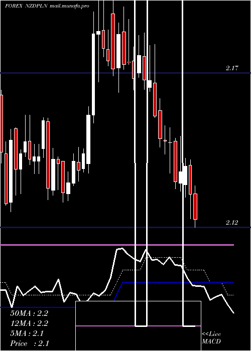  Daily chart NewZealand
