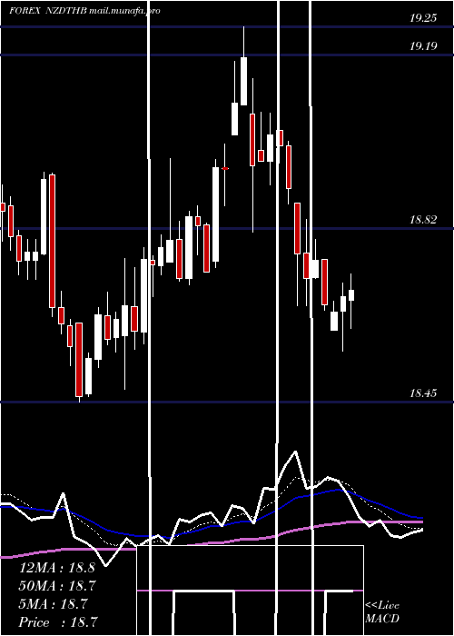 Daily chart NewZealand