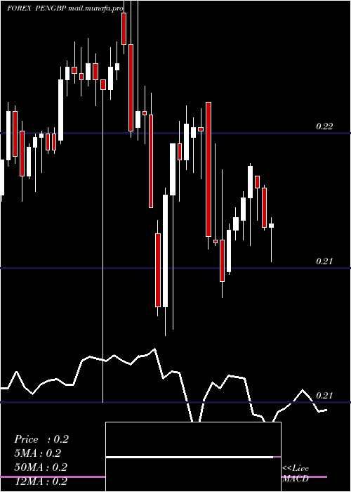  Daily chart NuevoSol