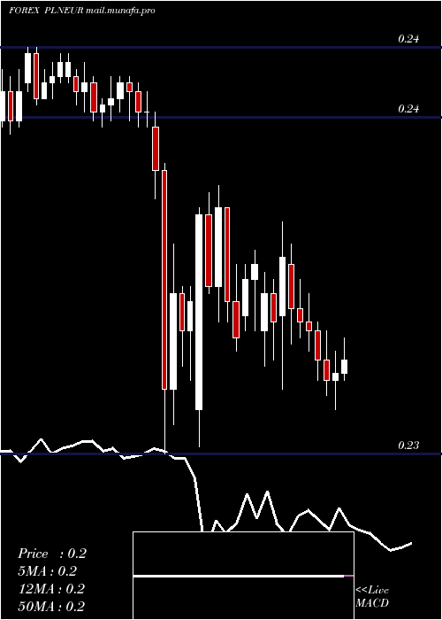  Daily chart PolishZloty