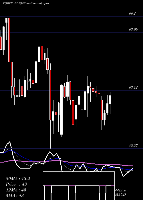  Daily chart PolishZloty