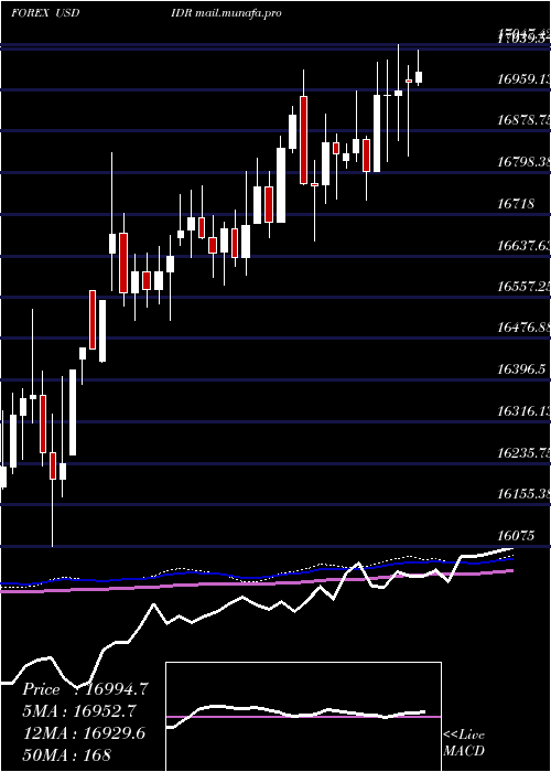  weekly chart UsDollar