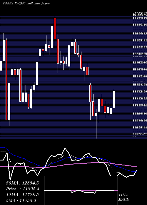  Daily chart SilverJapanese