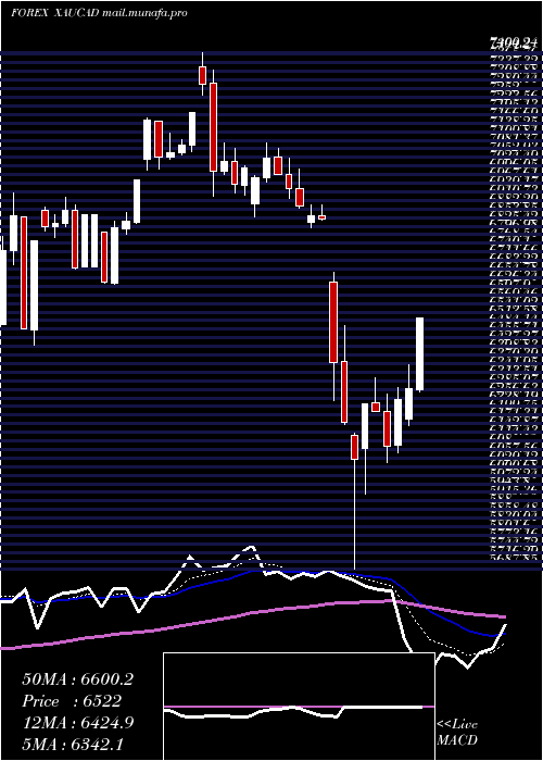  Daily chart GoldCanadian