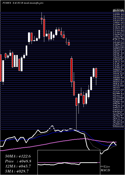  Daily chart GoldEuro