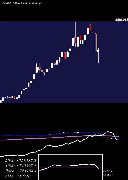  weekly chart GoldJapanese