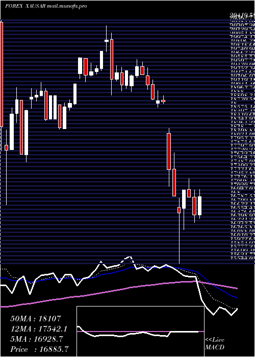  Daily chart GoldSaudi