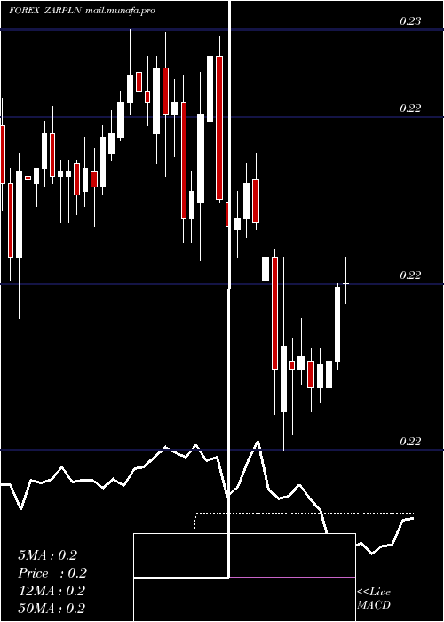  Daily chart SouthAfrican