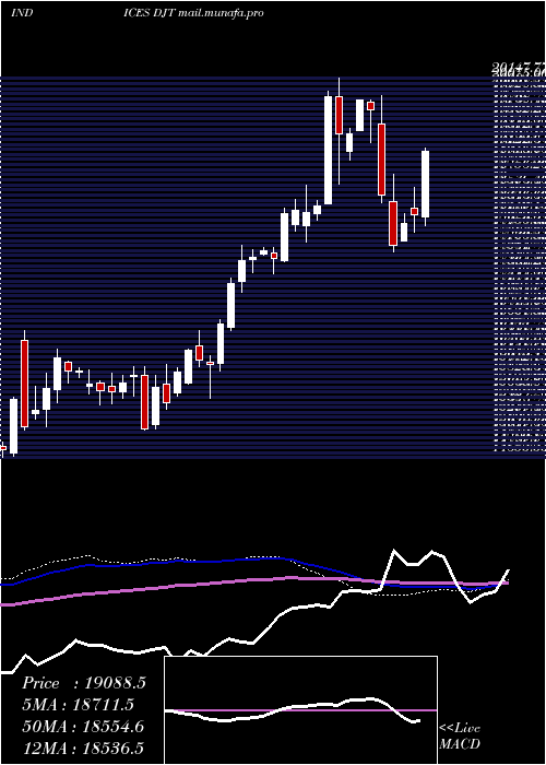  weekly chart DjTransport
