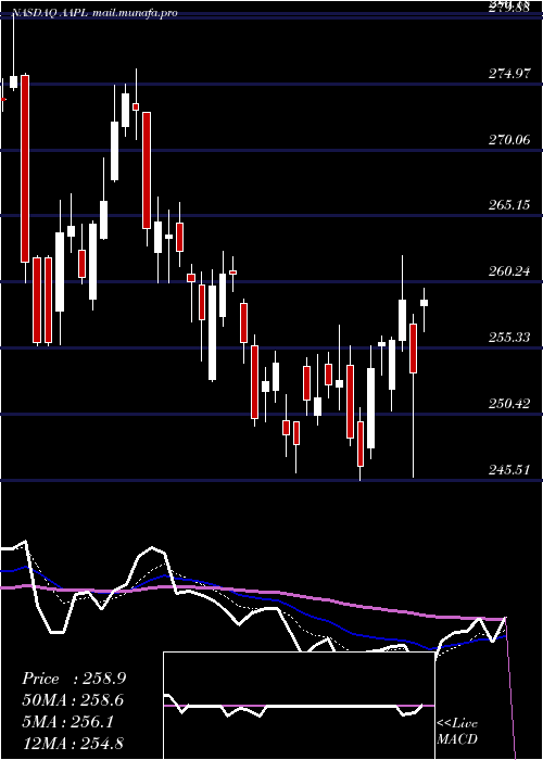  Daily chart AppleInc