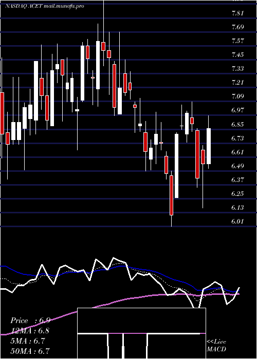  Daily chart AcetoCorporation